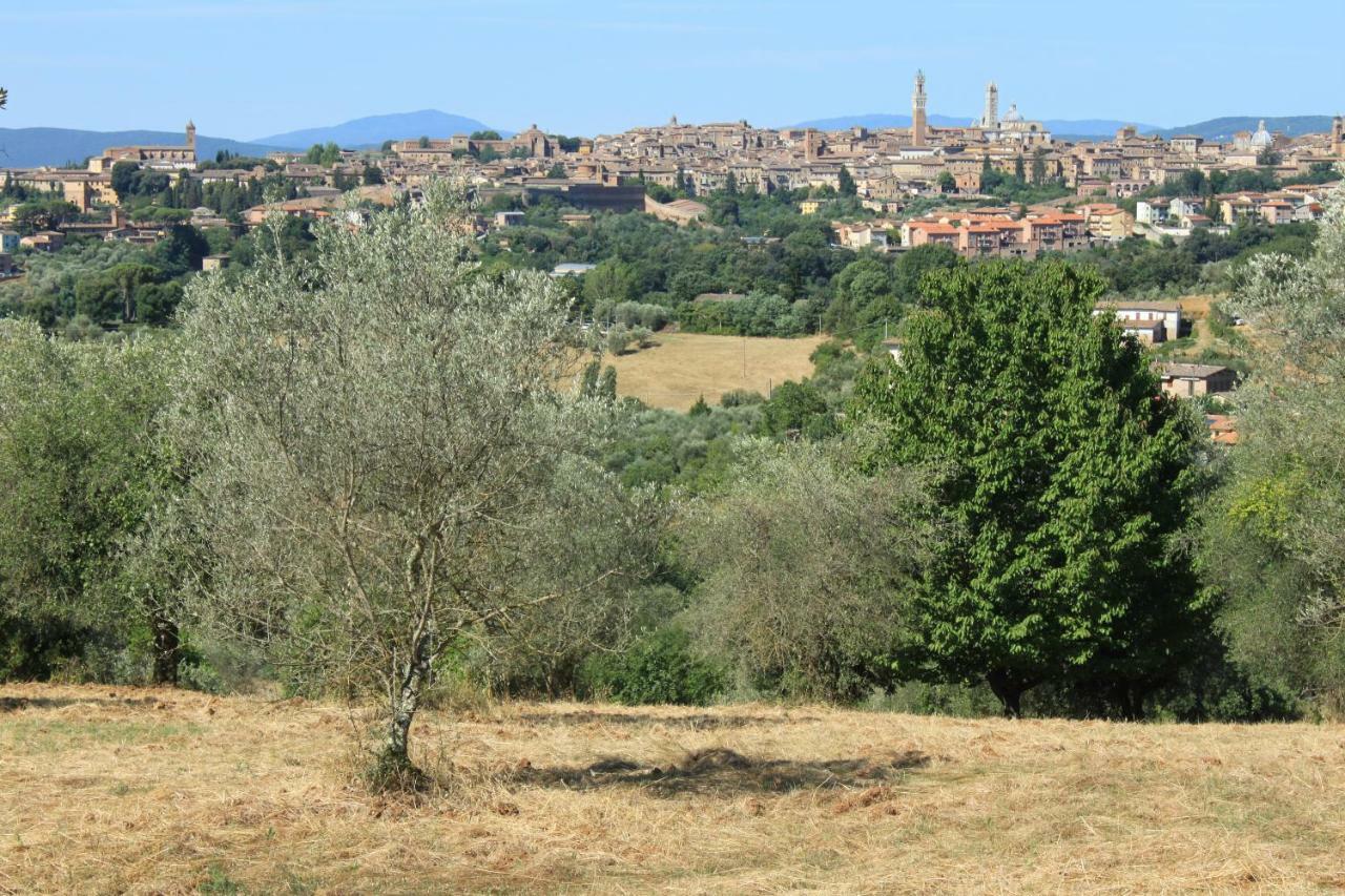 Vignano40 Vila Siena Exterior foto